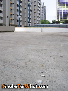 Cigarette butt found on the ground of block 4 Tanjong Pagar Plaza Singapore
